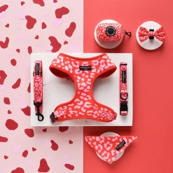Cocopup Leads-Red & Pink Leopard Lead