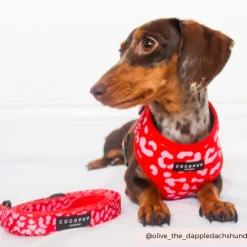 Cocopup Leads-Red & Pink Leopard Lead