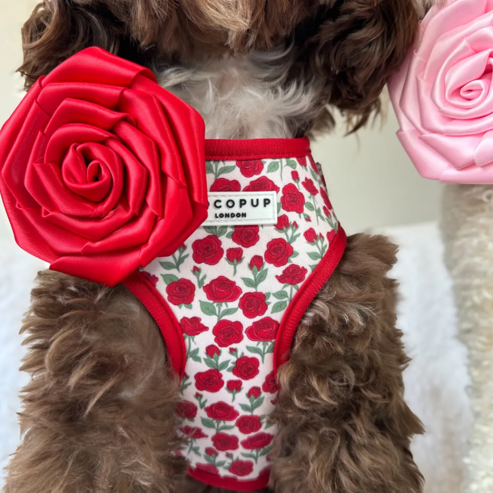 Cocopup Collar Flowers-Red Rose Collar Flower