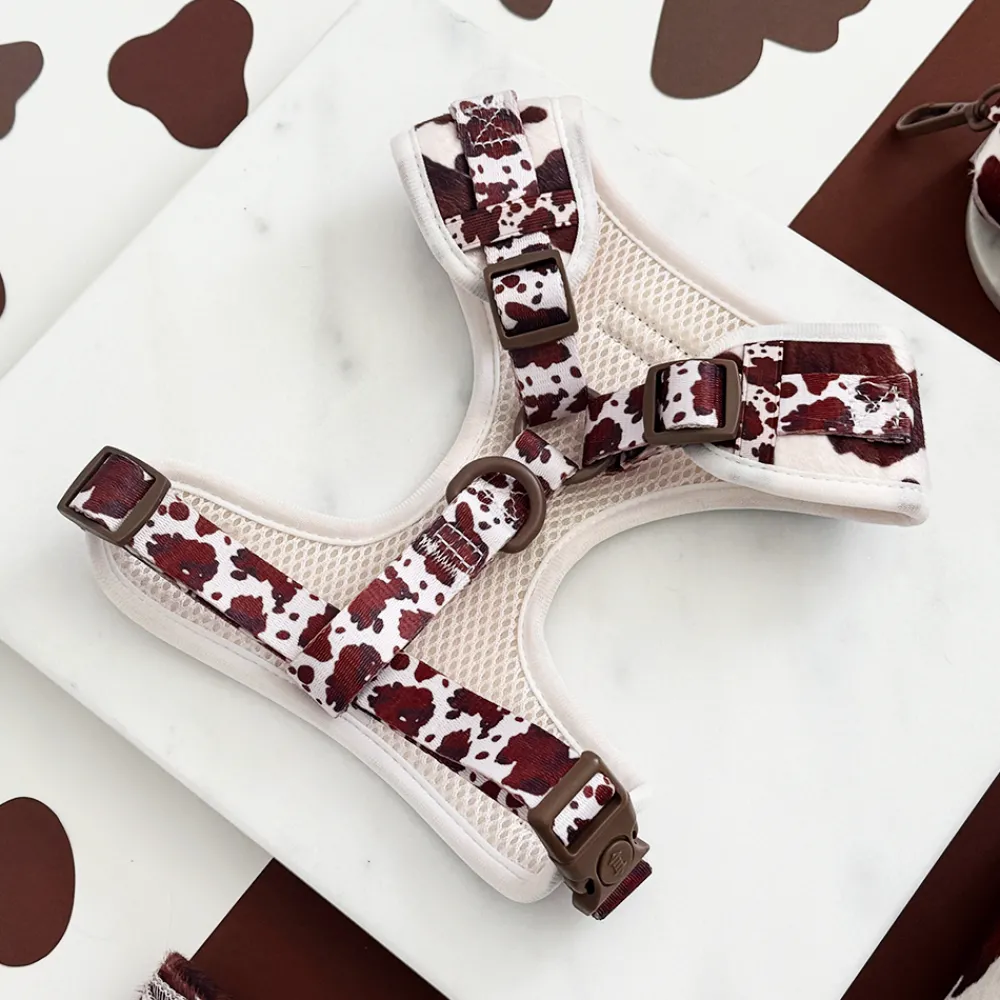 Cocopup Adjustable Neck Harnesses-Rodeo Pup Adjustable Neck HARNESS