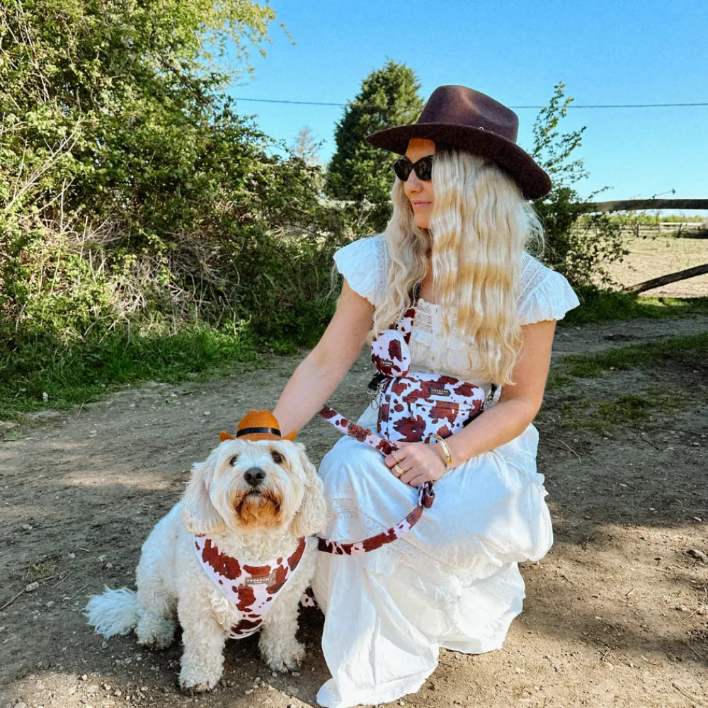 Cocopup Adjustable Neck Harnesses-Rodeo Pup Adjustable Neck HARNESS