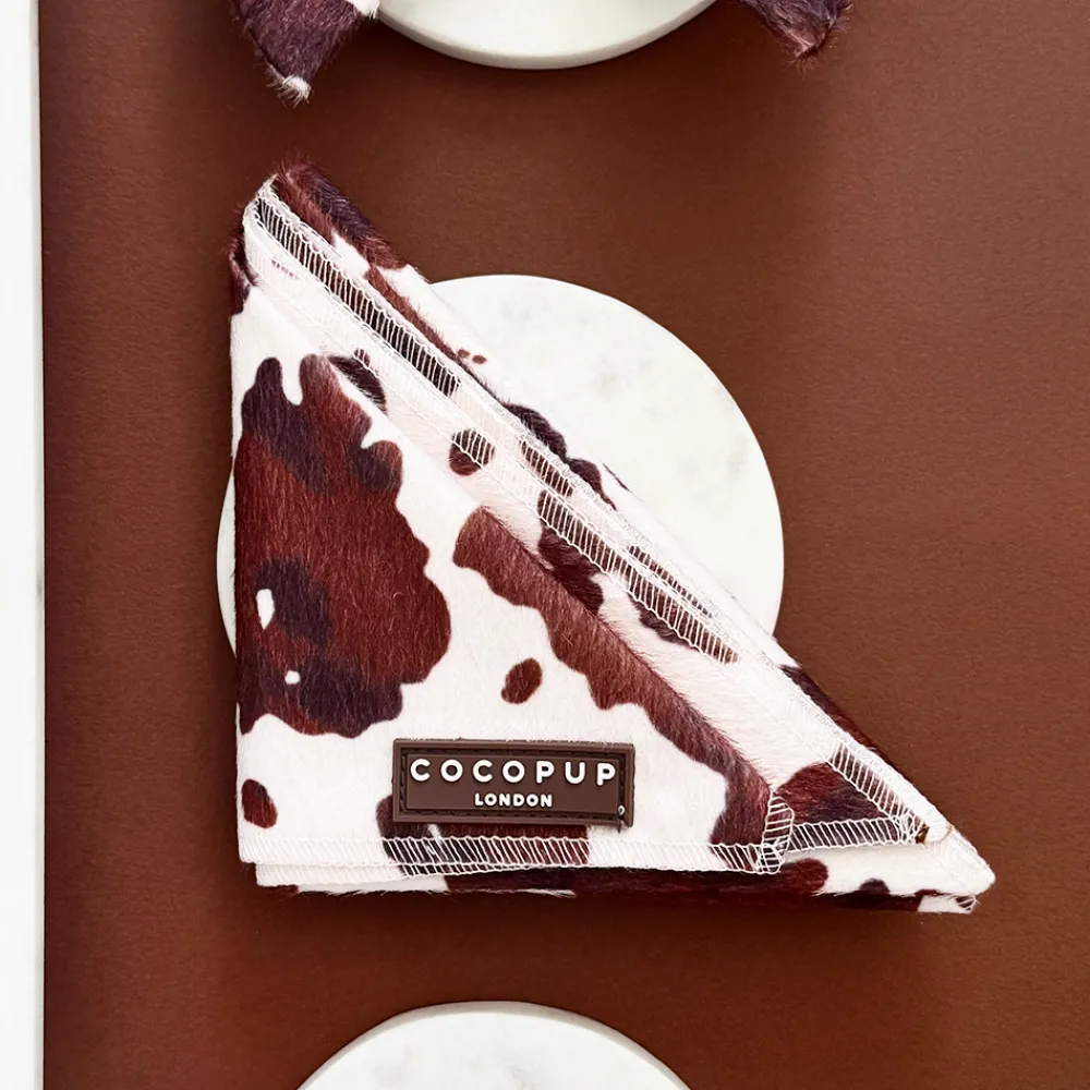Cocopup Bandanas-Rodeo Pup Bandana