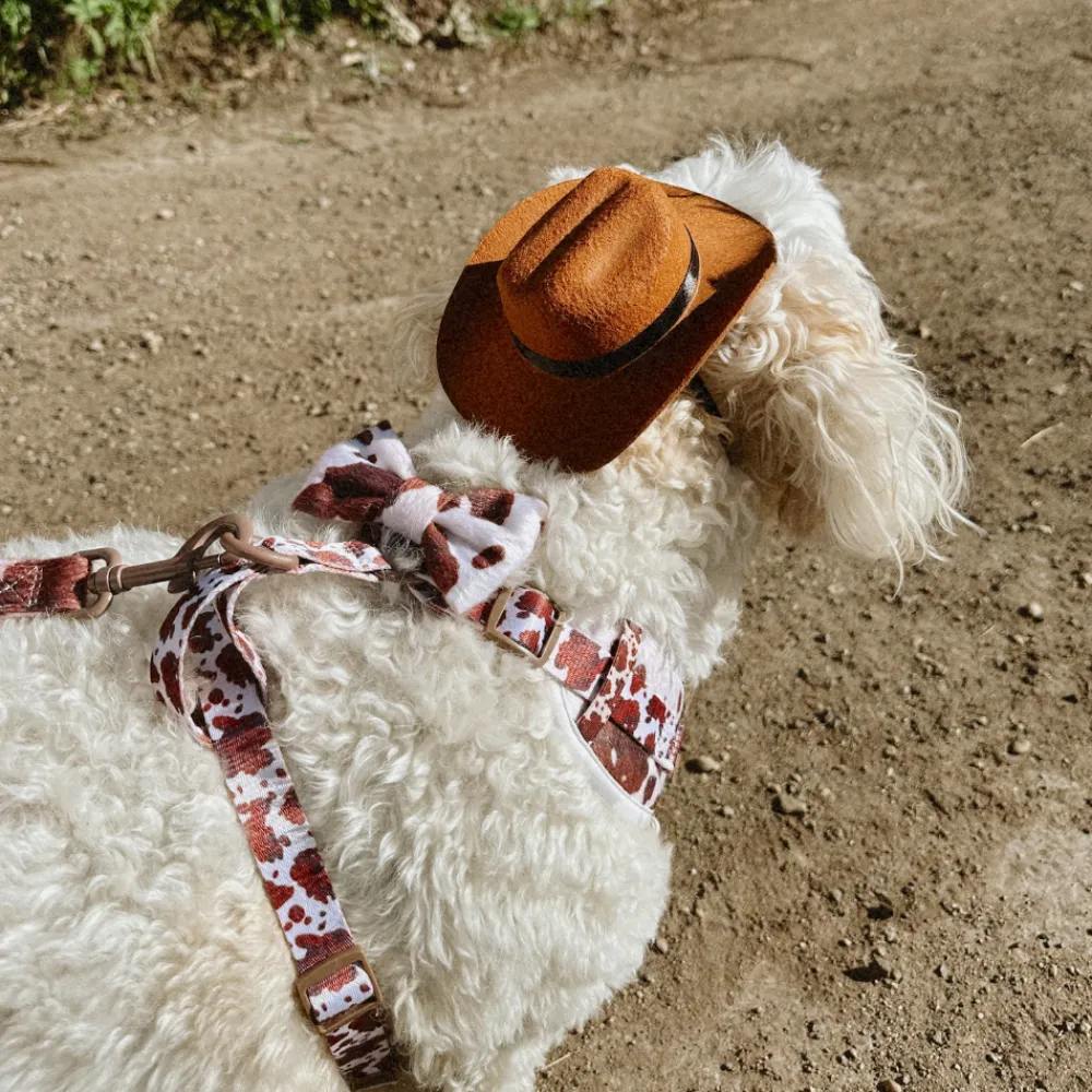 Cocopup Bow Ties-Rodeo Pup Bow Tie