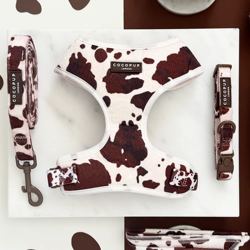Cocopup Collars | Puppy Leads & Collars-Rodeo Pup COLLAR
