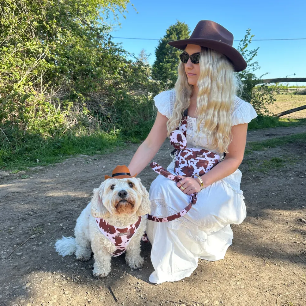 Cocopup Leads-Rodeo Pup Lead
