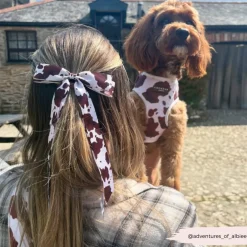 Cocopup Ribbon Bow Clips-Rodeo Pup Ribbon Bow Clip - By Coconut Lane