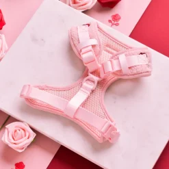 Cocopup Adjustable Neck Harnesses-Roses Embroidered Teddy Adjustable Neck HARNESS