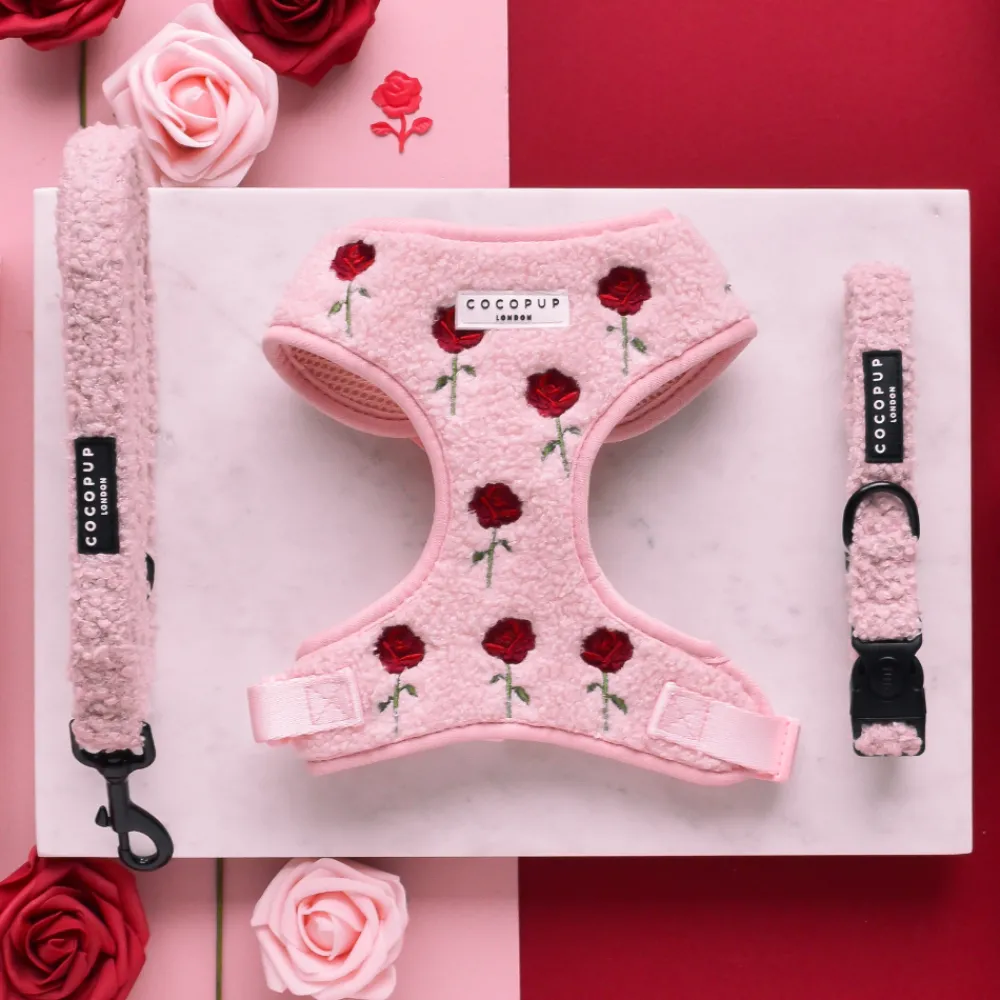 Cocopup Adjustable Neck Harnesses-Roses Embroidered Teddy Adjustable Neck HARNESS