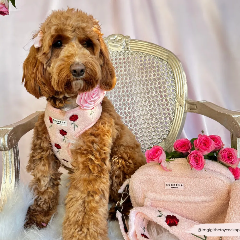 Cocopup Adjustable Neck Harnesses-Roses Embroidered Teddy Adjustable Neck HARNESS