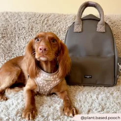 Cocopup Rucksacks | Rucksacks-Rucksack - Mocha