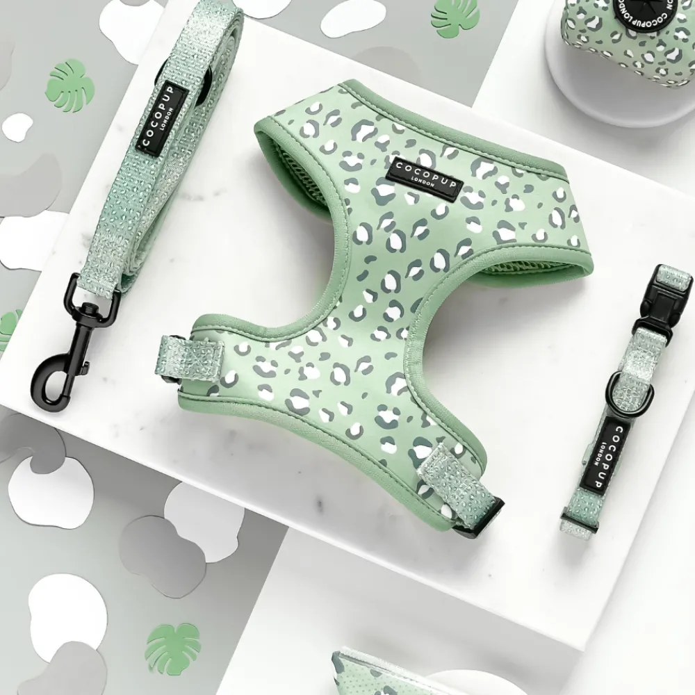 Cocopup Adjustable Harness Bundles-Sage Leopard Adjustable Neck Harness, Lead & Collar Bundle