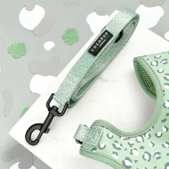 Cocopup Adjustable Harness Bundles-Sage Leopard Adjustable Neck Harness, Lead & Collar Bundle