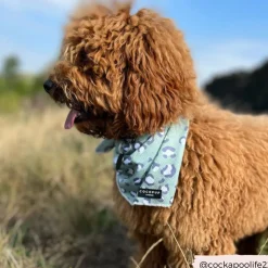 Cocopup Bandanas-Sage Leopard Bandana