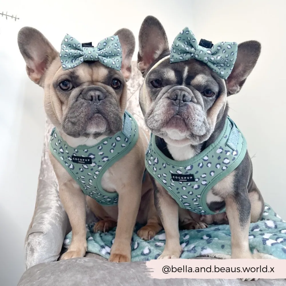 Cocopup Bow Ties-Sage Leopard Bow Tie