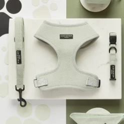 Cocopup Adjustable Harness Bundles-Sage Tweed Adjustable Neck Harness, Lead & Collar Bundle
