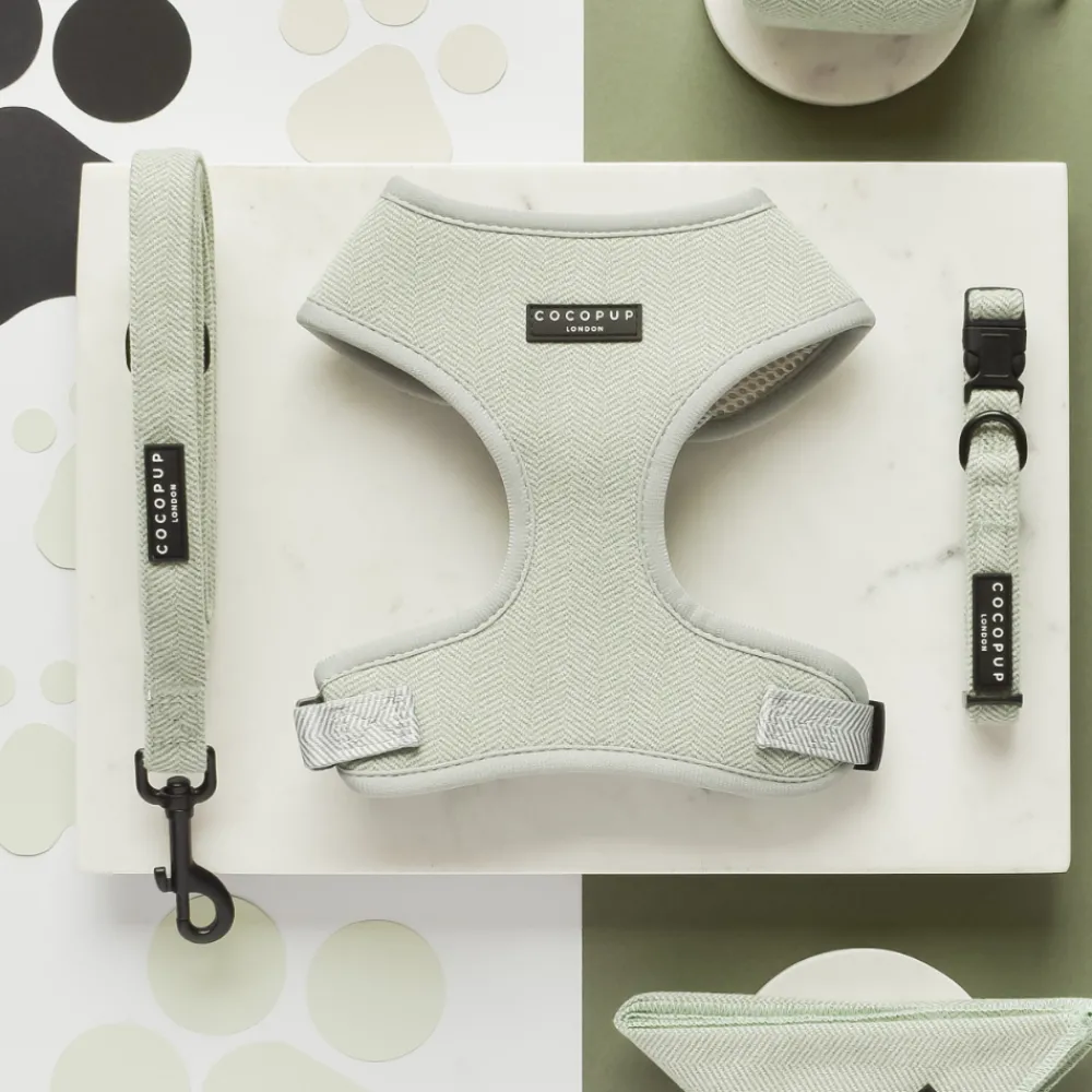 Cocopup Adjustable Harness Bundles-Sage Tweed Adjustable Neck Harness, Lead & Collar Bundle