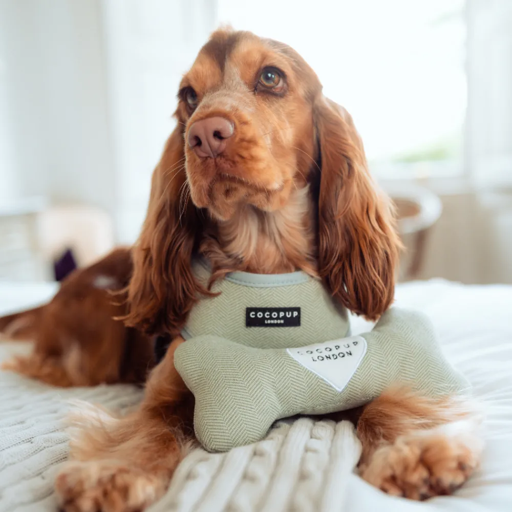 Cocopup Bone Toys 🦴-Sage Tweed Bone Toy