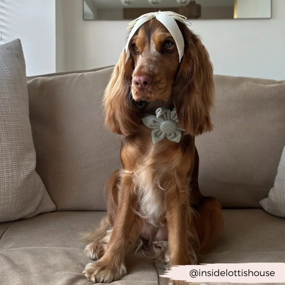 Cocopup Collar Flowers | Collar Flowers-Sage Tweed Collar Flower