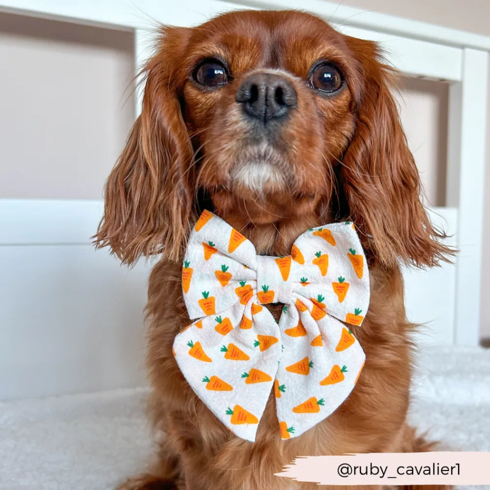 Cocopup Sailor Bow Ties-Sailor Bow Tie - Easter Carrot