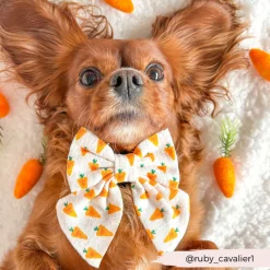 Cocopup Sailor Bow Ties-Sailor Bow Tie - Easter Carrot