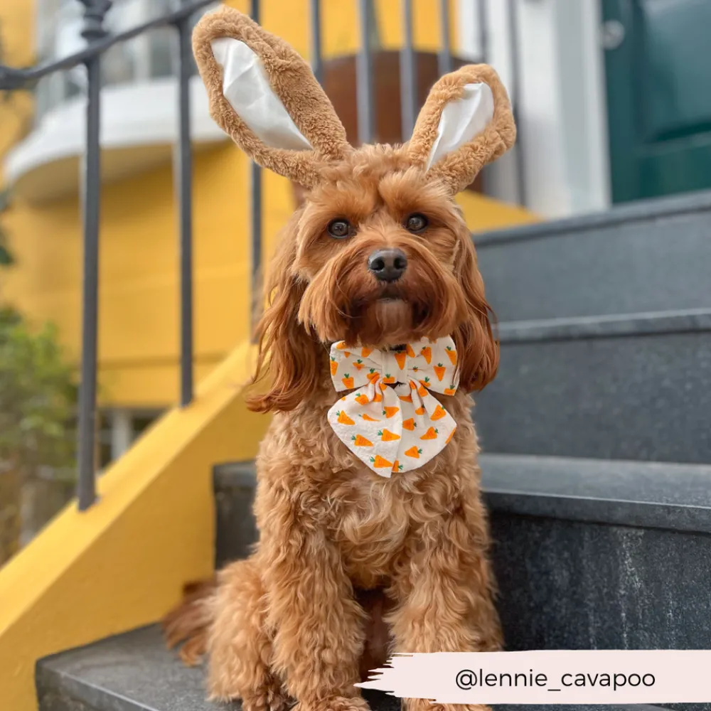 Cocopup Sailor Bow Ties-Sailor Bow Tie - Easter Carrot