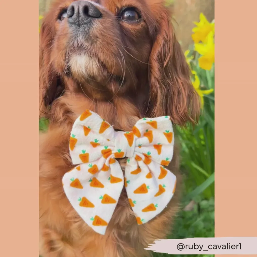 Cocopup Sailor Bow Ties-Sailor Bow Tie - Easter Carrot