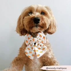 Cocopup Sailor Bow Ties-Sailor Bow Tie - Easter Carrot