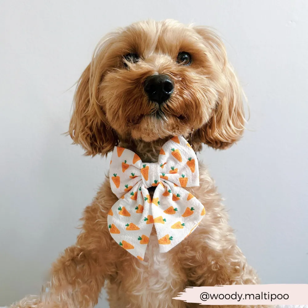 Cocopup Sailor Bow Ties-Sailor Bow Tie - Easter Carrot