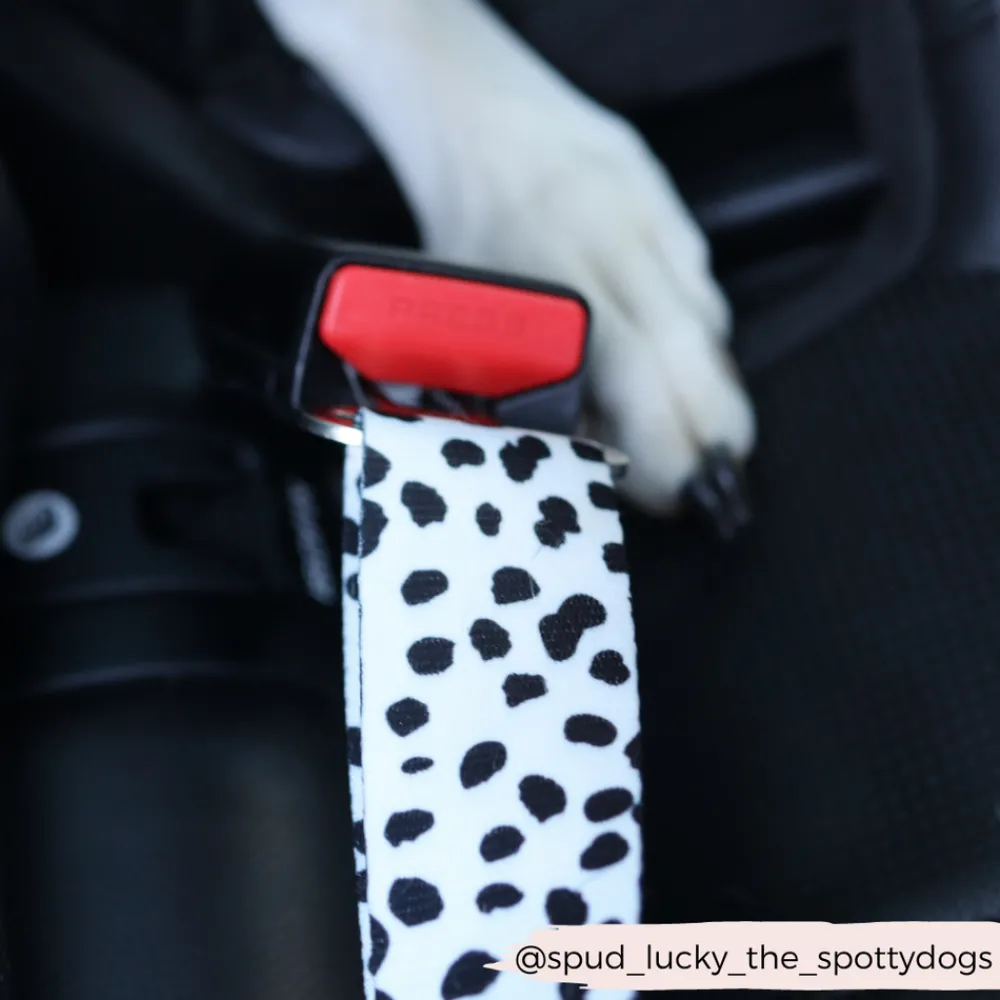 Cocopup Seatbelt Restraints-Seat Belt Restraint - Monochrome Spots
