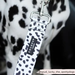 Cocopup Seatbelt Restraints-Seat Belt Restraint - Monochrome Spots