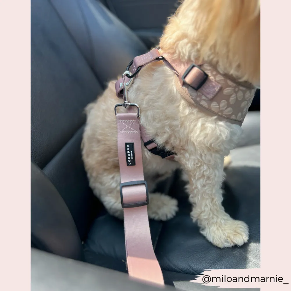 Cocopup Seatbelt Restraints-Seat Belt Restraint - Plain Nude
