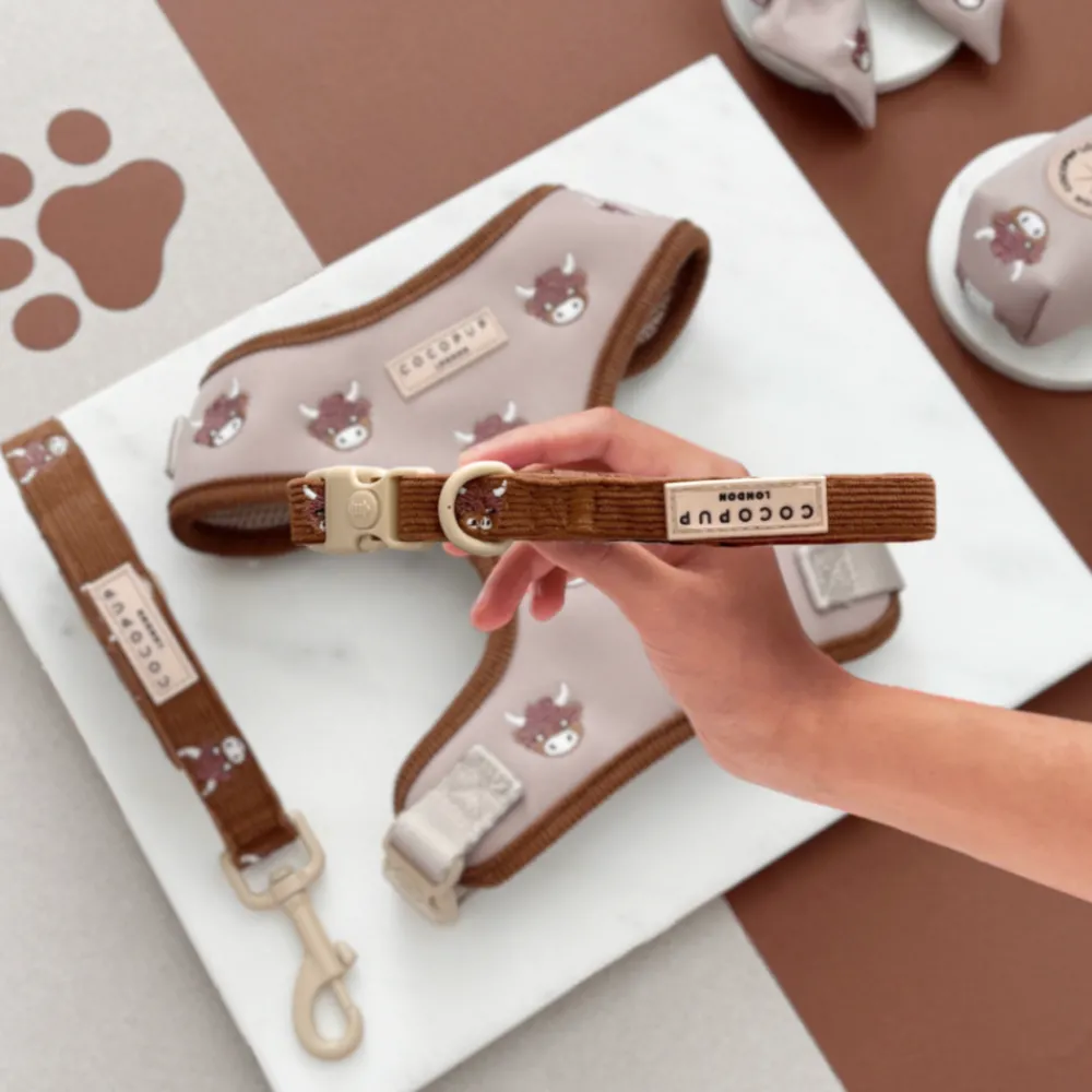 Cocopup Collars | Puppy Leads & Collars-SECONDS - Harold the Highland Cow COLLAR