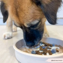 Cocopup Slow Feed Dog Bowls-Silicone Slow Feed Dog Bowl - Pupberry Fields
