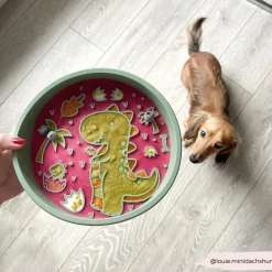 Cocopup Slow Feed Dog Bowls-Silicone Slow Feed Dog Bowl - Dinopaws