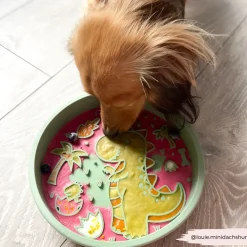 Cocopup Slow Feed Dog Bowls-Silicone Slow Feed Dog Bowl - Dinopaws