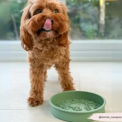 Cocopup Slow Feed Dog Bowls-Silicone Slow Feed Dog Bowl - Dinopaws