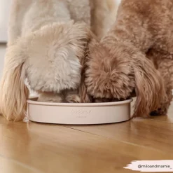 Cocopup Slow Feed Dog Bowls-Silicone Slow Feed Dog Bowl - Baby Pink Flowers