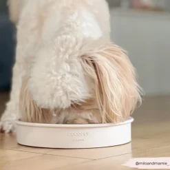 Cocopup Slow Feed Dog Bowls-Silicone Slow Feed Dog Bowl - Baby Pink Flowers