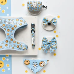 Cocopup Bow Ties-Smiley Pawty Tent Bow Tie