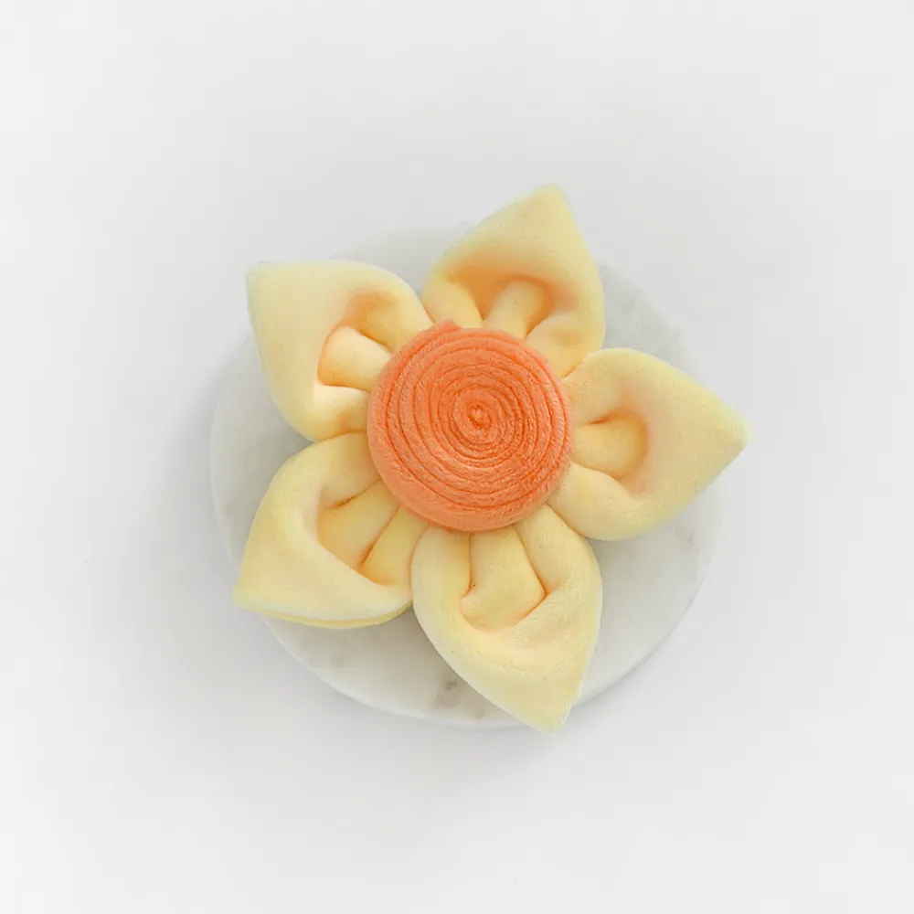 Cocopup Collar Flowers-Spring Daffodil Collar Flower