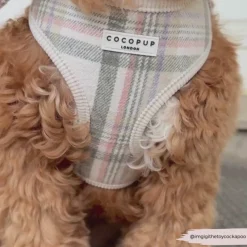 Cocopup Adjustable Harness Bundles-Spring Plaid Adjustable Neck Harness, Lead & Collar Bundle