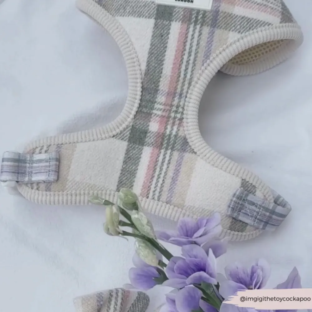 Cocopup Adjustable Harness Bundles-Spring Plaid Adjustable Neck Harness, Lead & Collar Bundle