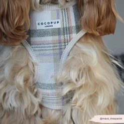 Cocopup Adjustable Neck Harnesses-Spring Plaid Adjustable Neck HARNESS