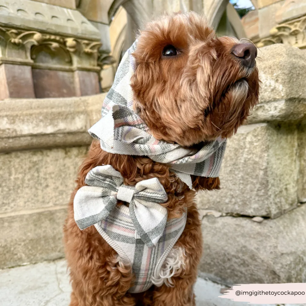 Cocopup Sailor Bow Ties-Spring Plaid Sailor Bow Tie