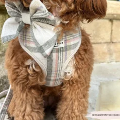 Cocopup Sailor Bow Ties-Spring Plaid Sailor Bow Tie
