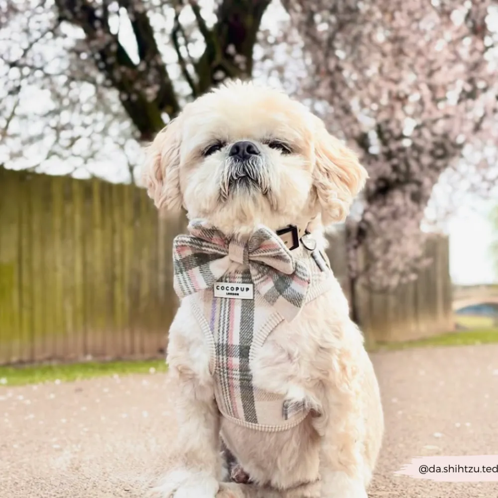 Cocopup Sailor Bow Ties-Spring Plaid Sailor Bow Tie
