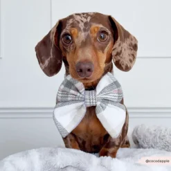 Cocopup Sailor Bow Ties-Spring Plaid Sailor Bow Tie