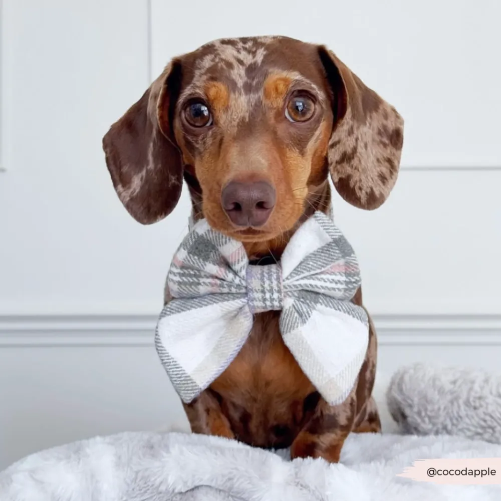 Cocopup Sailor Bow Ties-Spring Plaid Sailor Bow Tie