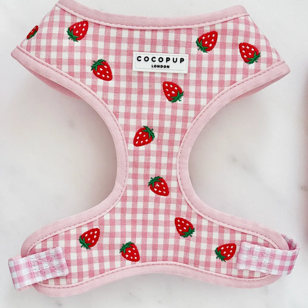 Cocopup Adjustable Neck Harnesses-Strawberry Picnic Pup Adjustable Neck HARNESS