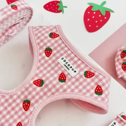 Cocopup Adjustable Harness Bundles-Strawberry Picnic Pup Adjustable Neck Harness, Lead & Collar Bundle